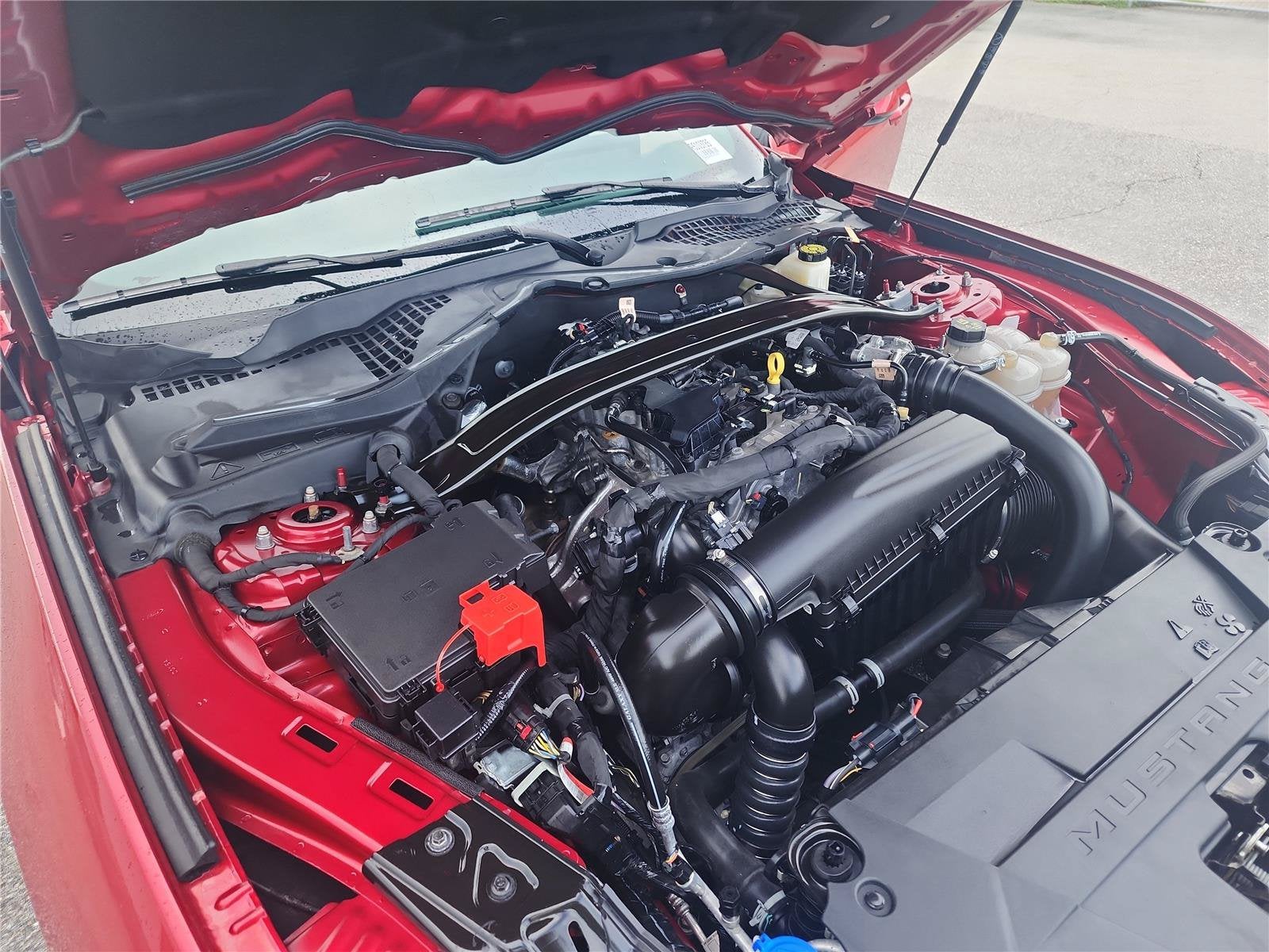 2024 Ford Mustang EcoBoost Premium