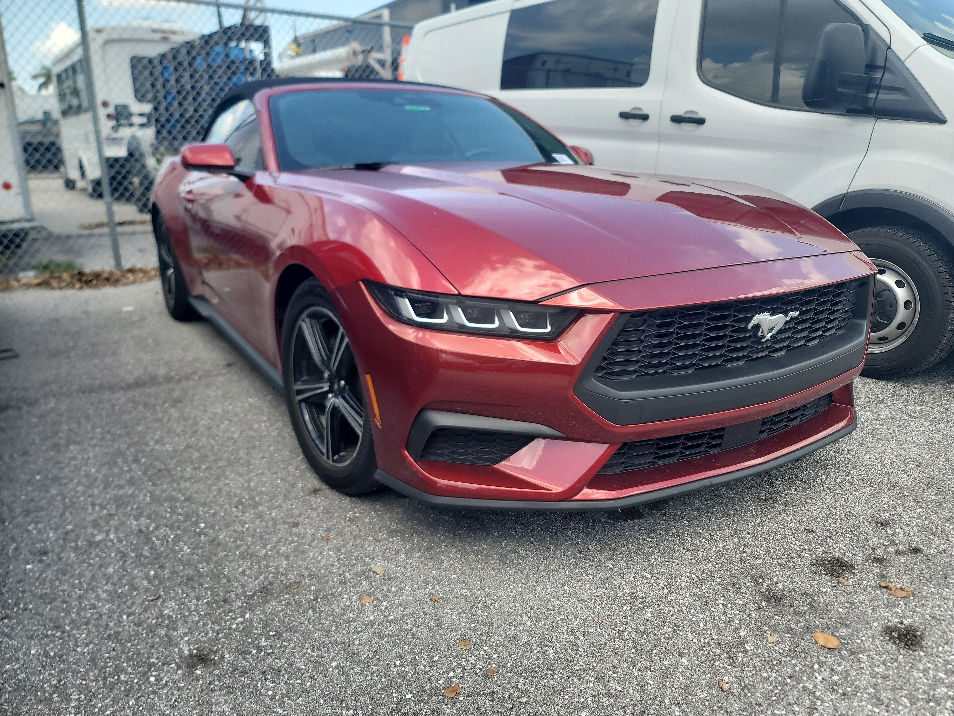 2024 Ford Mustang EcoBoost Premium